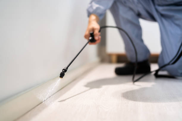 Licensed Termite Control service in Nicholson, MS - Nex Pest Control