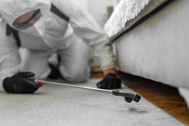 Professional Termite Control technician working in Nicholson, MS
