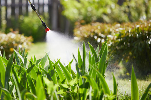 24/7 Emergency Termite Control experts in Nicholson, MS