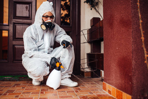 Reliable Termite Control contractor in Nicholson, MS by Nex Pest Control