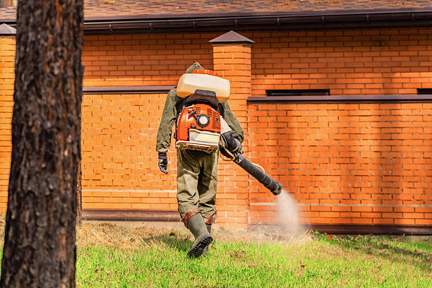 Top rated local Termite Control specialists in Nicholson, MS